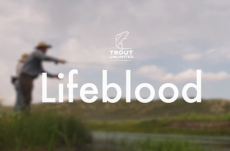 TU Releases New Film, ‘Lifeblood’
